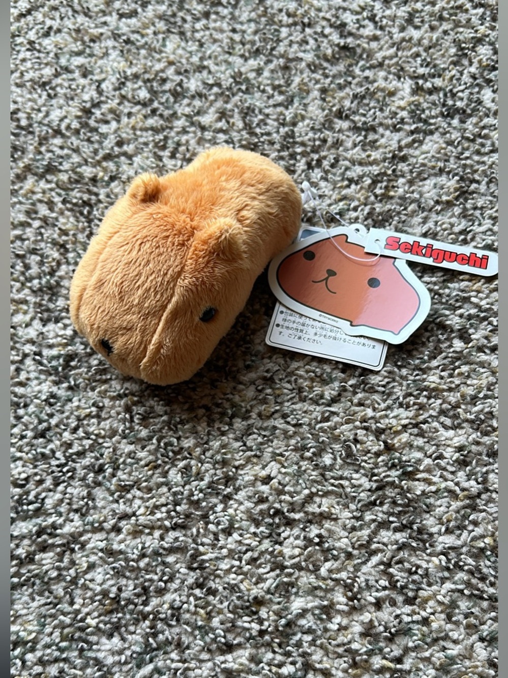 RARE Sekiguchi Kapibara-san plush mascot